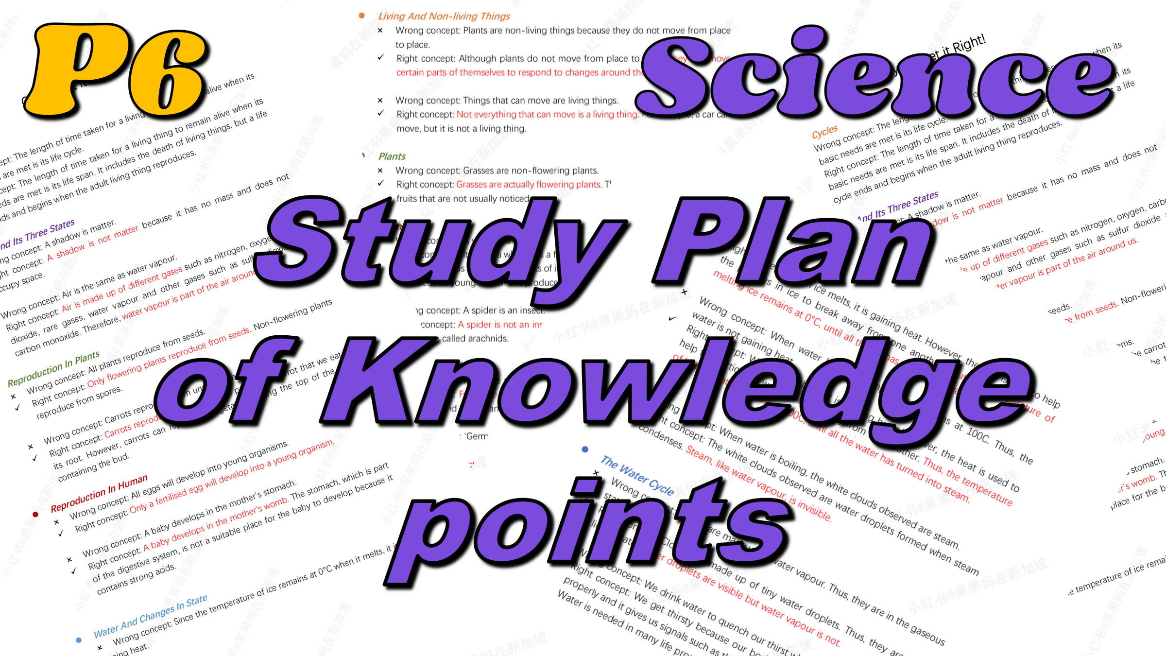 Online Free Test Paper Pitaya Online free test paper pitaya